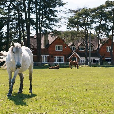 Beaulieu Hotel リンドハースト エクステリア 写真