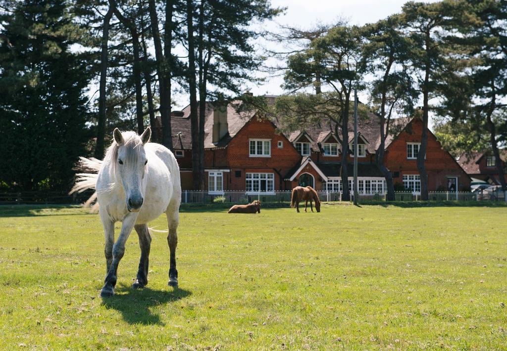 Beaulieu Hotel リンドハースト エクステリア 写真